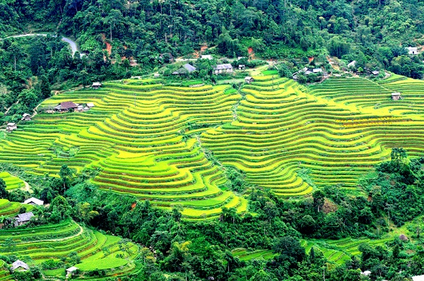 Hoàng Su Phì